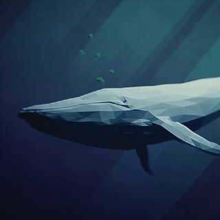 Логотип @whale_friend - Whale Friend