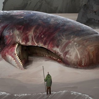 Логотип @whale_hunter_crypto - Whale Hunter