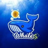 Логотип @whales_cryptonewz - Whales Crypto 🐋