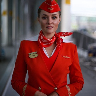 Логотип @where_alice_is - ГДЕ АЛИСА?