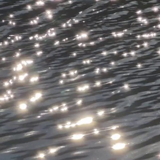 Логотип @whereisshutki - Mila