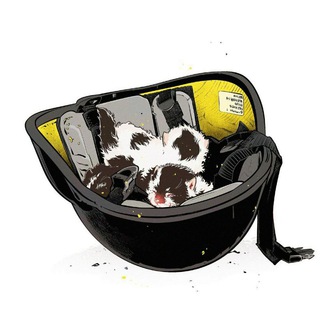 Логотип @wheretofight - Куди воювати? 🇺🇦☠️ #УкрТґ