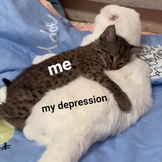 Логотип @whfls - murderland