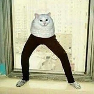 Логотип @whimphenazepamum - Прихоть Феназепама