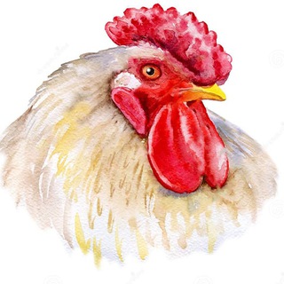 Логотип @whiteaist - БелыйАист