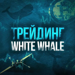 Логотип @whitewhale_at - White Whale - AnatolyTrade