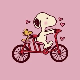 Логотип @whosvanessalynx - Кто такая Ванесса Рысь?