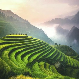 Логотип @why_are_not_you_there_yet - Почему ты еще не там?🌎