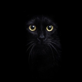 Логотип @whydowedream - Библиотека мыслей