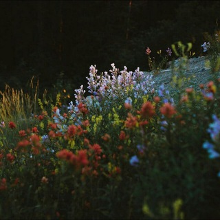 Логотип @whyilove - почему я люблю людей