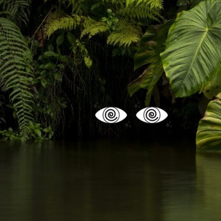 Логотип @wideopenspace - Open Wide Space