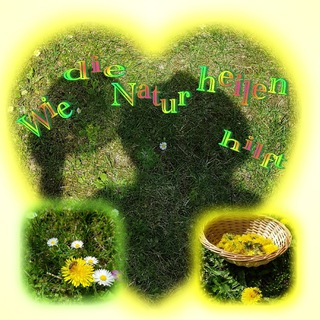 Логотип @wie_die_natur_heilen_hilft - Wie die Natur heilen hilft