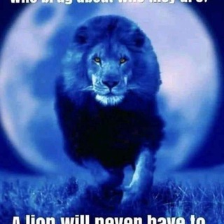 Логотип @wiederaigadiesunddas - Aiga dies und das