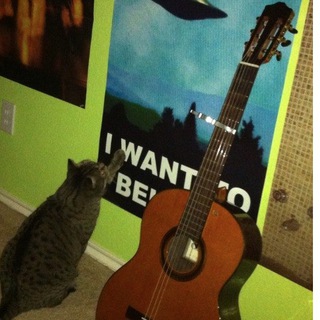 Логотип @wiki_only_wiki - Википедия каждый день