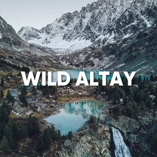 Логотип @wild_altay - WILD RUSSIANS | АЛТАЙ