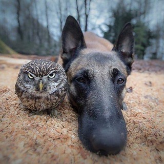 Логотип @wild_district - Наше Z Дикое ⚔️🏡 Wild District