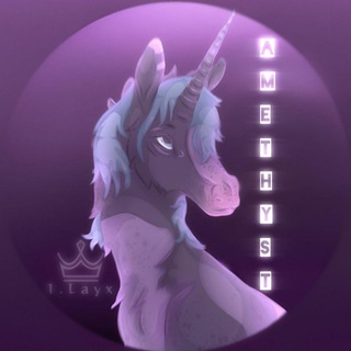 Логотип @wild_horse_island - ‹.°Amethyst Shop °.›