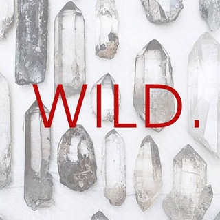 Логотип @wild_minerals - WILD_Minerals