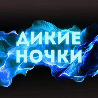 Логотип @wild_nights_spb - ДИКИЕ НОЧКИ | WILD NIGHTS