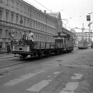 Логотип @wild_spb - Дикий Петербург