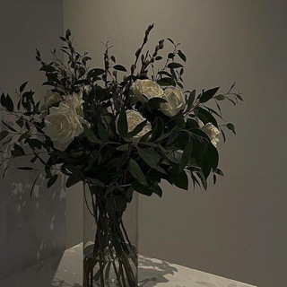 Логотип @wildberrieskosmetica - Wildberries|косметика