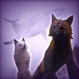 Логотип @wildcraftaxax - Wildcraft