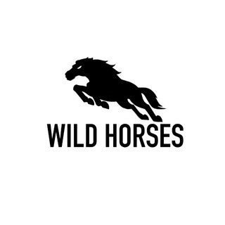 Логотип @wildhorse_analytics - Wild Horses Analytics