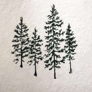 Логотип @wildknown - Уайлд