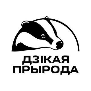 Логотип @wildlifebelarus - Дзікая прырода побач