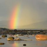 Логотип @wildlifestories_chat - Заповедные истории