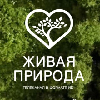 Логотип @wildnaturehd - Телеканал «Живая природа»