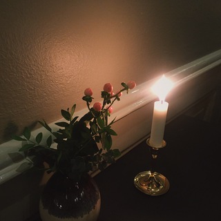 Логотип @wildopenspaces - wild, new, flamboyant, fancy