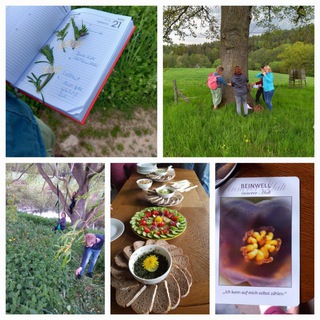 Логотип @wildpflanzenallerlei - WildpflanzenAllerlei, Fermentieren, Räuchern mit heimischen Wildpflanzen 🍄Aktuelle Zeitqualität 🌞🌗💥