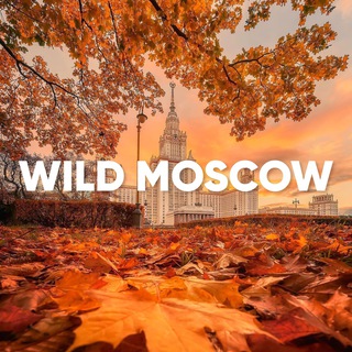 Логотип @wildrussians_moscow - WILD RUSSIANS | МОСКВА