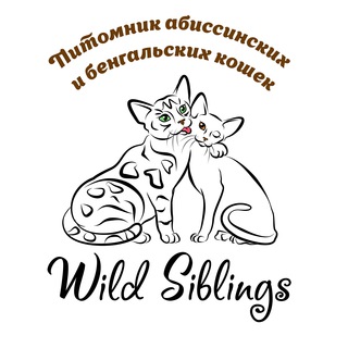 Логотип @wildsiblings - Wild Siblings