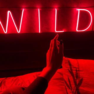 Логотип @wildspsy - Ольга Особа | Психология