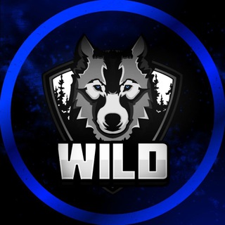 Логотип @wildtdm1 - WILD TDM