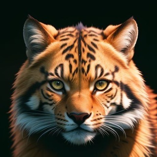 Логотип @wildworld_z - Дикий Мир