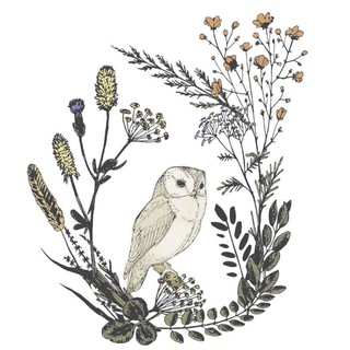 Логотип @wildwuchsweisheit - WildWuchsWeisheit