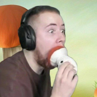 Логотип @williwonka8 - ТикТак