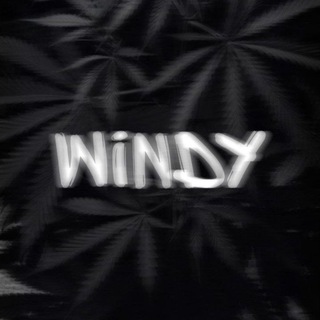Логотип @windy_boys - WINDY