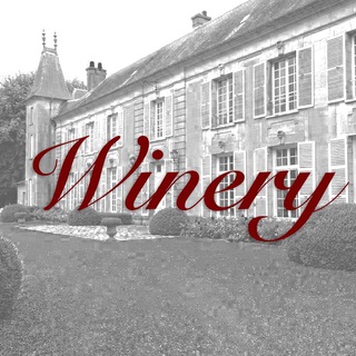 Логотип @wine_bez_dee - Winery