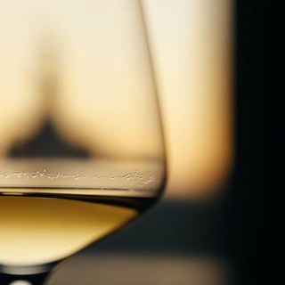 Логотип @wine_fun_spb - Чем заняться в Петербурге