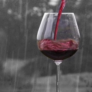 Логотип @winocomment - Вино&Cыр комментарии