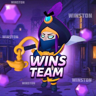 Логотип @wins_team228 - Wins Team