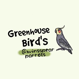 Логотип @winsspearparrots - ⋆˚Greenhouse Bird's˚🪶⋆