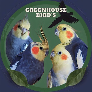 Логотип @winsspearparrots_chat - Greenhouse Bird's | Чат