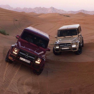 Логотип @wiomuz - 𝘿 𝙄 𝙀 𝙎 𝙀 𝙇