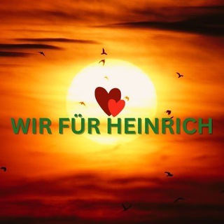Логотип @wirfuerheinrich - WIR FÜR HEINRICH - Der Kanal