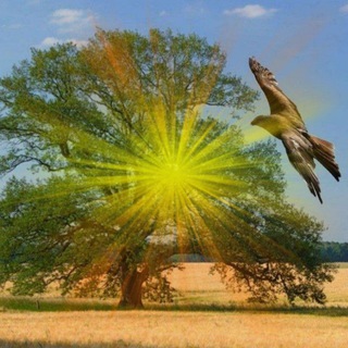 Логотип @wirgemeinsamindieneuezeit - ❣️Wir❣️ Gemeinsam in die neue Zeit 🕊🪶